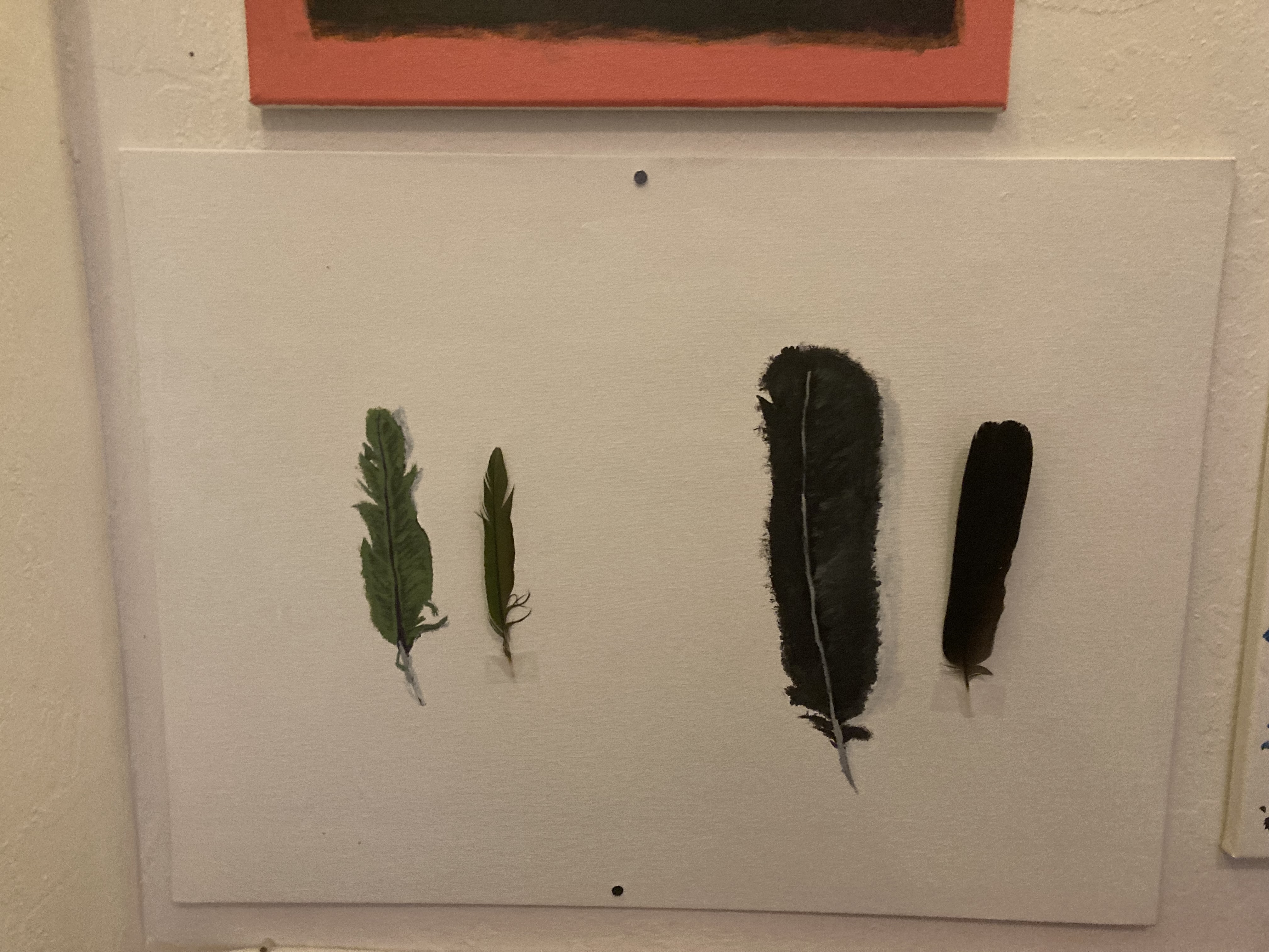 Painting of some feathers